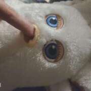 ヒメ日記 2025/11/30 10:03 投稿 鈴代 はな Mの世界