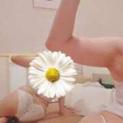 ヒメ日記 2025/11/30 23:18 投稿 鈴代 はな Mの世界