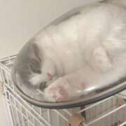 ヒメ日記 2025/12/24 17:34 投稿 鈴代 はな Mの世界