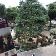 れおな お馬さんを見に……✨ 奥鉄オクテツ東京店（デリヘル市場）