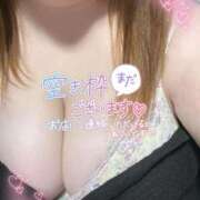 ヒメ日記 2025/04/07 19:49 投稿 りり 熊本ちゃんこ　八代店