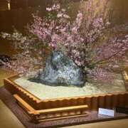 ヒメ日記 2025/03/22 03:50 投稿 れん ごほうびSPA五反田店