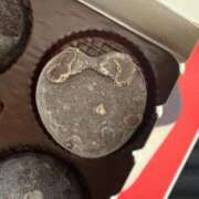 ヒメ日記 2025/03/25 08:34 投稿 れん ごほうびSPA五反田店