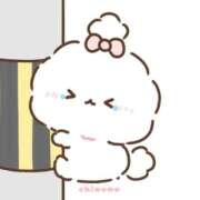 ヒメ日記 2025/08/13 19:48 投稿 みゆ 桜フェアリーテイル