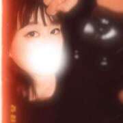 ヒメ日記 2025/03/13 06:00 投稿 とおか 横浜人妻花壇本店