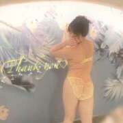 ヒメ日記 2025/03/13 15:59 投稿 とおか 横浜人妻花壇本店