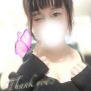 ヒメ日記 2025/04/08 16:47 投稿 とおか 横浜人妻花壇本店