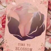 ヒメ日記 2025/03/16 12:26 投稿 桜 陽菜 こあくまな熟女たち 京都店(KOAKUMAグループ)