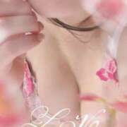 ヒメ日記 2025/04/01 11:45 投稿 桜 陽菜 こあくまな熟女たち 京都店(KOAKUMAグループ)