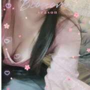 ヒメ日記 2025/04/07 09:10 投稿 桜 陽菜 こあくまな熟女たち 京都店(KOAKUMAグループ)