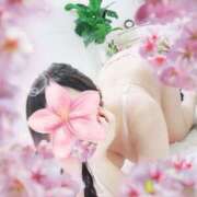 ヒメ日記 2025/04/28 12:49 投稿 桜 陽菜 こあくまな熟女たち 京都店(KOAKUMAグループ)