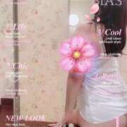 ヒメ日記 2025/05/10 17:01 投稿 桜 陽菜 こあくまな熟女たち 京都店(KOAKUMAグループ)