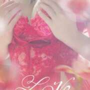 ヒメ日記 2025/05/12 12:45 投稿 桜 陽菜 こあくまな熟女たち 京都店(KOAKUMAグループ)