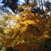 ヒメ日記 2025/03/20 11:09 投稿 のぞむ 11チャンネル