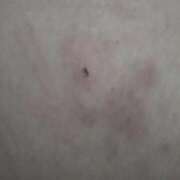 ヒメ日記 2025/03/27 04:20 投稿 のぞむ 11チャンネル