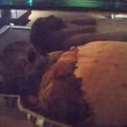 ヒメ日記 2025/04/03 11:03 投稿 のぞむ 11チャンネル