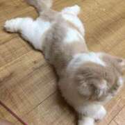 ヒメ日記 2025/05/24 08:41 投稿 のぞむ 11チャンネル