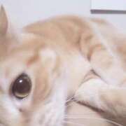 ヒメ日記 2025/07/05 07:53 投稿 のぞむ 11チャンネル