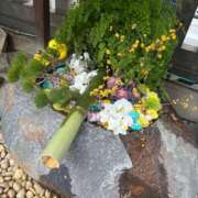 ヒメ日記 2026/01/16 20:08 投稿 みさこ 熟女デリヘル倶楽部