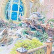 ヒメ日記 2025/03/31 09:43 投稿 かずさ 熟女の風俗最終章 新宿店