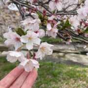 ヒメ日記 2025/05/04 11:03 投稿 かずさ 熟女の風俗最終章 新宿店