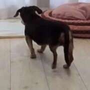 かずさ こんばんは〜 熟女の風俗最終章 新宿店