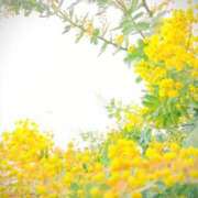 ヒメ日記 2025/03/13 10:52 投稿 藤原ひろみ 五十路マダム　和歌山店