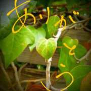 ヒメ日記 2025/03/13 18:52 投稿 藤原ひろみ 五十路マダム　和歌山店