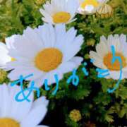 ヒメ日記 2025/03/20 22:30 投稿 藤原ひろみ 五十路マダム　和歌山店