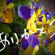 ヒメ日記 2025/03/22 17:08 投稿 藤原ひろみ 五十路マダム　和歌山店