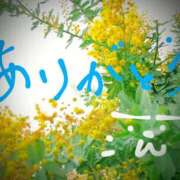 ヒメ日記 2025/03/23 18:26 投稿 藤原ひろみ 五十路マダム　和歌山店