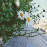 ヒメ日記 2025/03/24 09:42 投稿 藤原ひろみ 五十路マダム　和歌山店