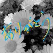 ヒメ日記 2025/03/25 03:44 投稿 藤原ひろみ 五十路マダム　和歌山店