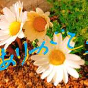 ヒメ日記 2025/03/28 14:22 投稿 藤原ひろみ 五十路マダム　和歌山店