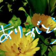 ヒメ日記 2025/04/01 02:16 投稿 藤原ひろみ 五十路マダム　和歌山店