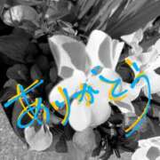 ヒメ日記 2025/04/01 02:28 投稿 藤原ひろみ 五十路マダム　和歌山店