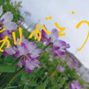 藤原ひろみ 22日のありがとう 五十路マダム　和歌山店