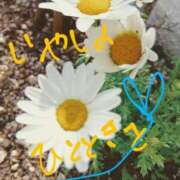 藤原ひろみ タイミング? 五十路マダム　和歌山店