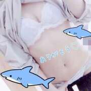 ヒメ日記 2025/04/03 20:08 投稿 るる エンジェルエステplus