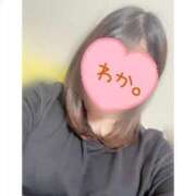 ヒメ日記 2025/04/26 13:01 投稿 わか ちゃんこ長野塩尻北IC店