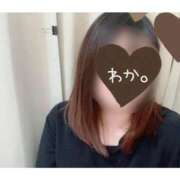 ヒメ日記 2025/05/12 13:26 投稿 わか ちゃんこ長野塩尻北IC店