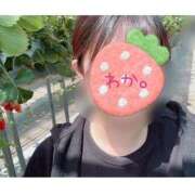 ヒメ日記 2025/11/16 14:21 投稿 わか ちゃんこ長野塩尻北IC店