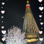 朝日 雅(あさひ　みやび) 春ですね? 五十路マダムエクスプレス厚木店(カサブランカグループ)