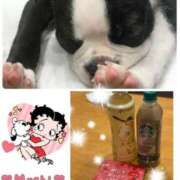 朝日 雅(あさひ　みやび) ありがとうございました?? 五十路マダムエクスプレス厚木店(カサブランカグループ)