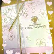 ヒメ日記 2025/03/17 14:26 投稿 桜井絵里子 五十路マダムエクスプレス横浜店（カサブランカグループ）