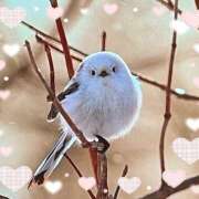 ヒメ日記 2025/03/28 13:26 投稿 桜井絵里子 五十路マダムエクスプレス横浜店（カサブランカグループ）