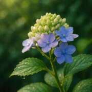 ヒメ日記 2025/06/04 13:14 投稿 桜井絵里子 五十路マダムエクスプレス横浜店（カサブランカグループ）