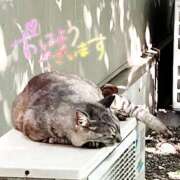 ヒメ日記 2025/06/24 10:48 投稿 桜井絵里子 五十路マダムエクスプレス横浜店（カサブランカグループ）