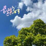 ヒメ日記 2025/08/20 10:36 投稿 桜井絵里子 五十路マダムエクスプレス横浜店（カサブランカグループ）