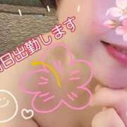 ヒメ日記 2025/08/31 20:08 投稿 桜井絵里子 五十路マダムエクスプレス横浜店（カサブランカグループ）